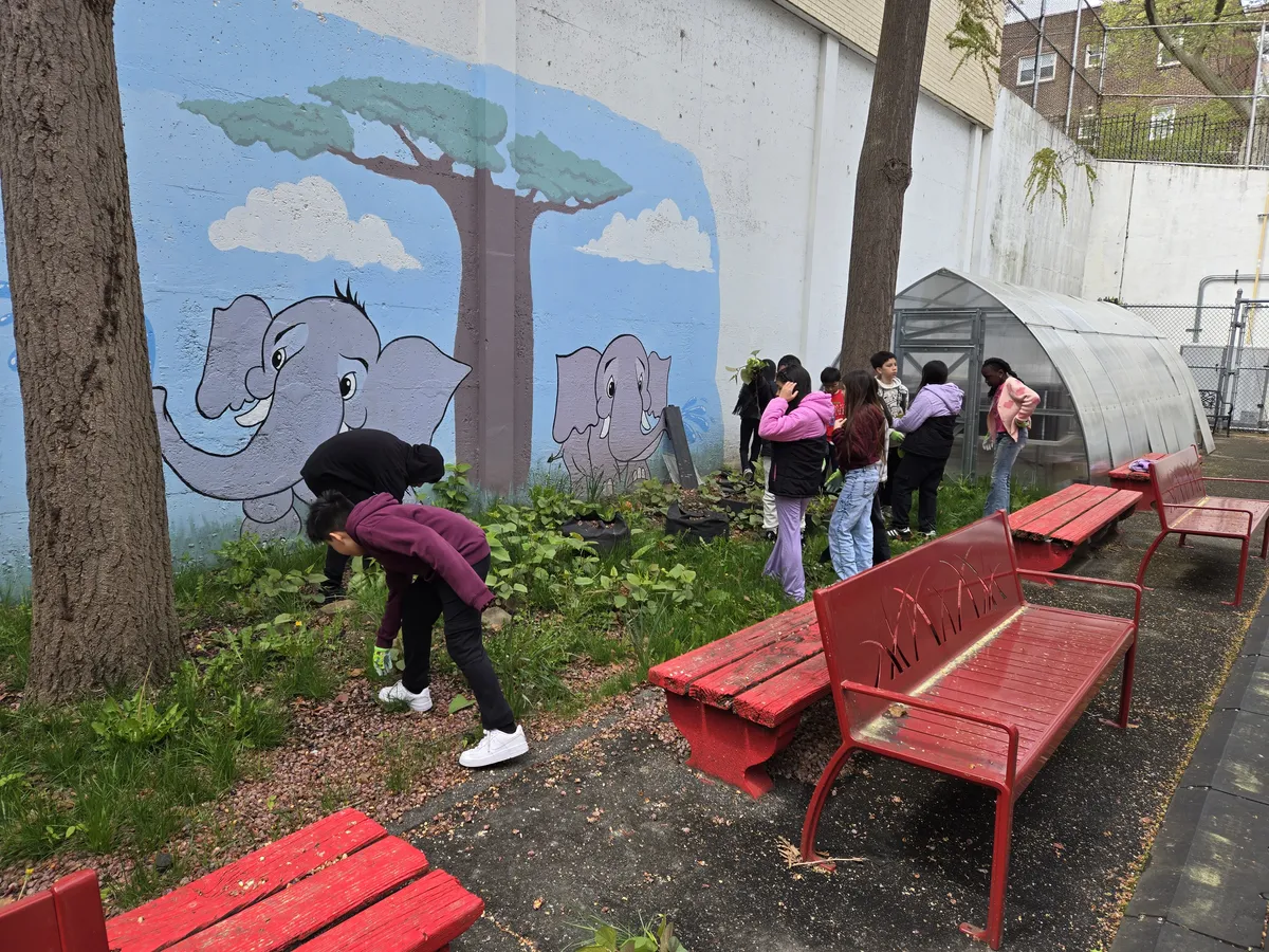 Students tending plants in a schoolyard garden beside a mural and a greenhouse