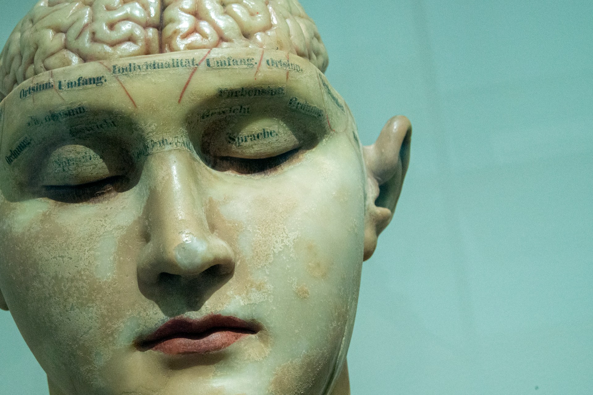Why Your Brain Loves Instant Gratification (And Why That Doesn't Make You Bad at Budgeting)