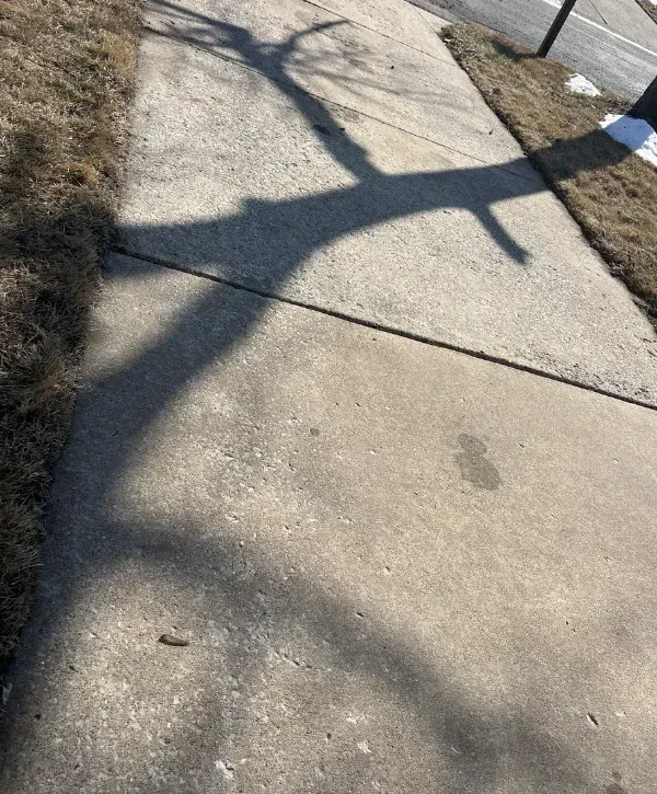 A long, dark shadow of a bare tree stretching across a concrete sidewalk next to withered brown grass.