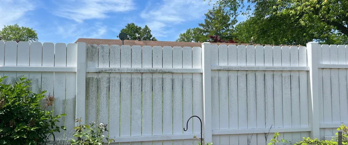 A dirty white vinyl fence, covered in green and black stains, under a bright blue sky with trees in the background.
