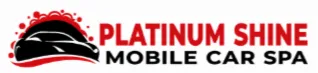 Auto Detailing Logo