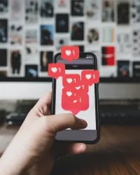 zednow-landscape-social-media