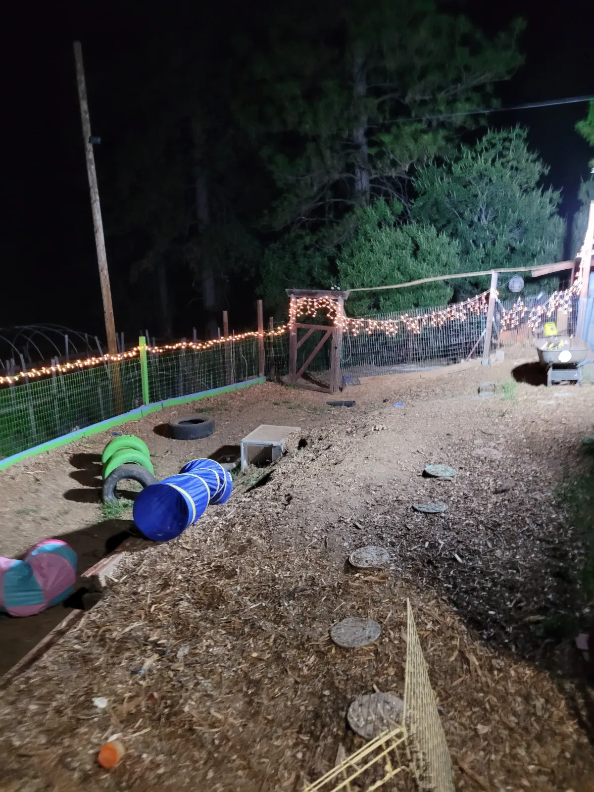 Dog boarding Placerville