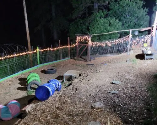 Dog boarding in Placerville ca