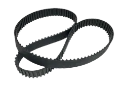 High-performance black V-belts and teeth-grooved timing belts neatly organized.