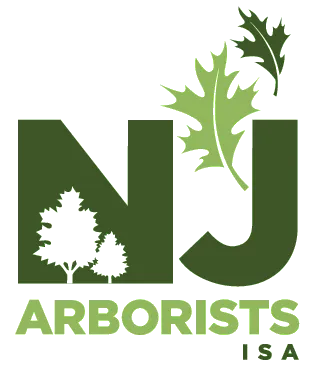 NJ logo