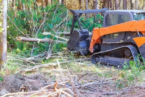 Forestry skid steer clearing fallen trees and brush | Moline Tree Service