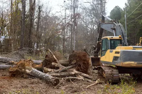 Excavator clearing large fallen trees and debris from property | Moline Tree Service