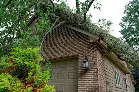 Fallen tree on home after severe storm damage in Moline IL | Moline Tree Service