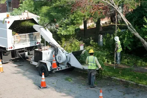 Crew using wood chipper for emergency tree removal cleanup | Moline Tree Service