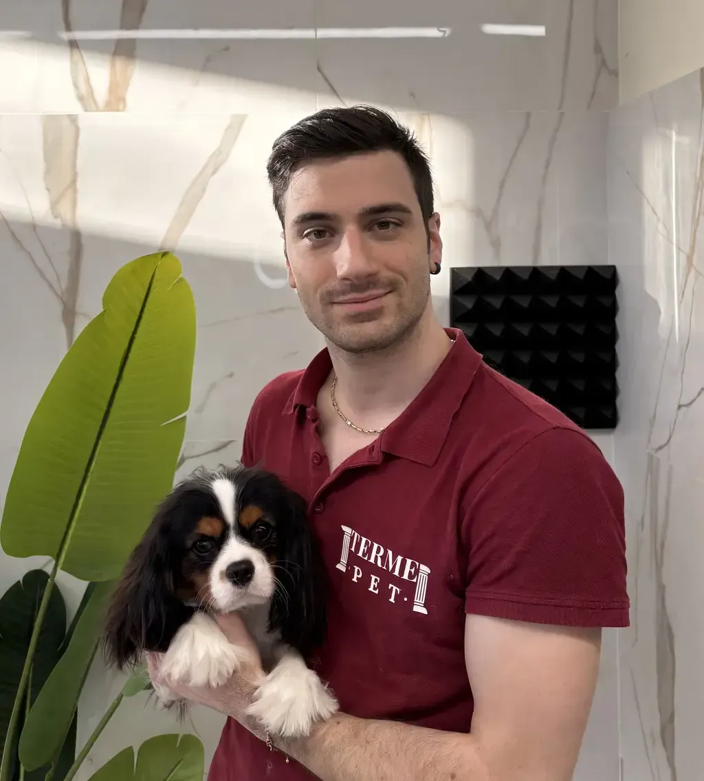 Andrea Maurzio Gilardoni