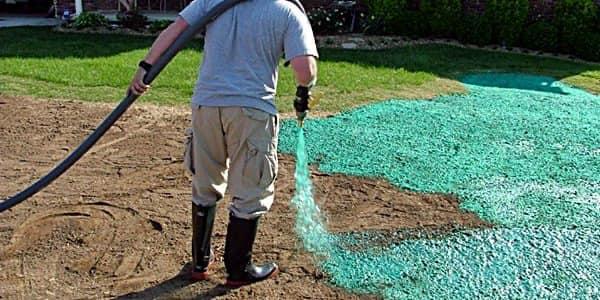 Hydroseeding a large backyard in Lake City