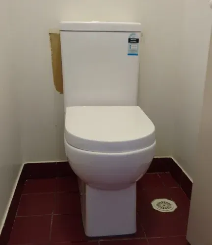 Toilet Replacement & repairs