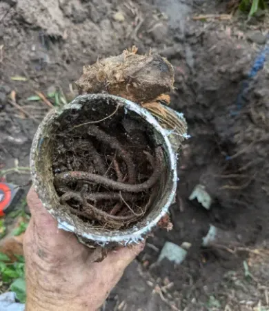 Blocked Drain Troubleshooting