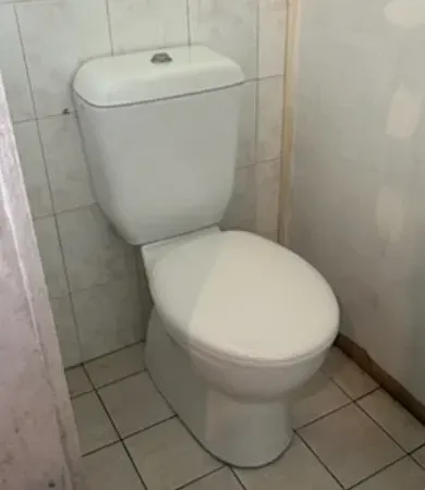 Toilet Repair