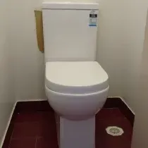 Toilet Replacement