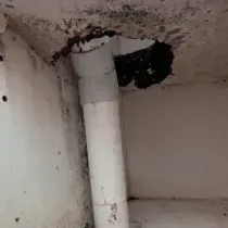 Leak pipe damage