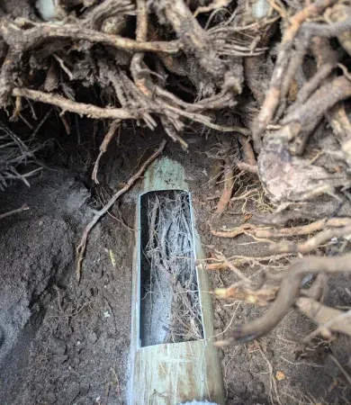 Blocked Sewerage Drain