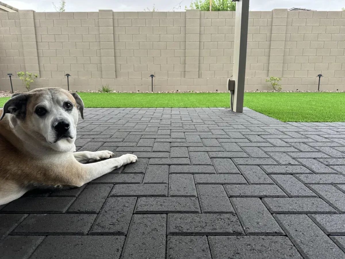 Landscape Architecture & Installation