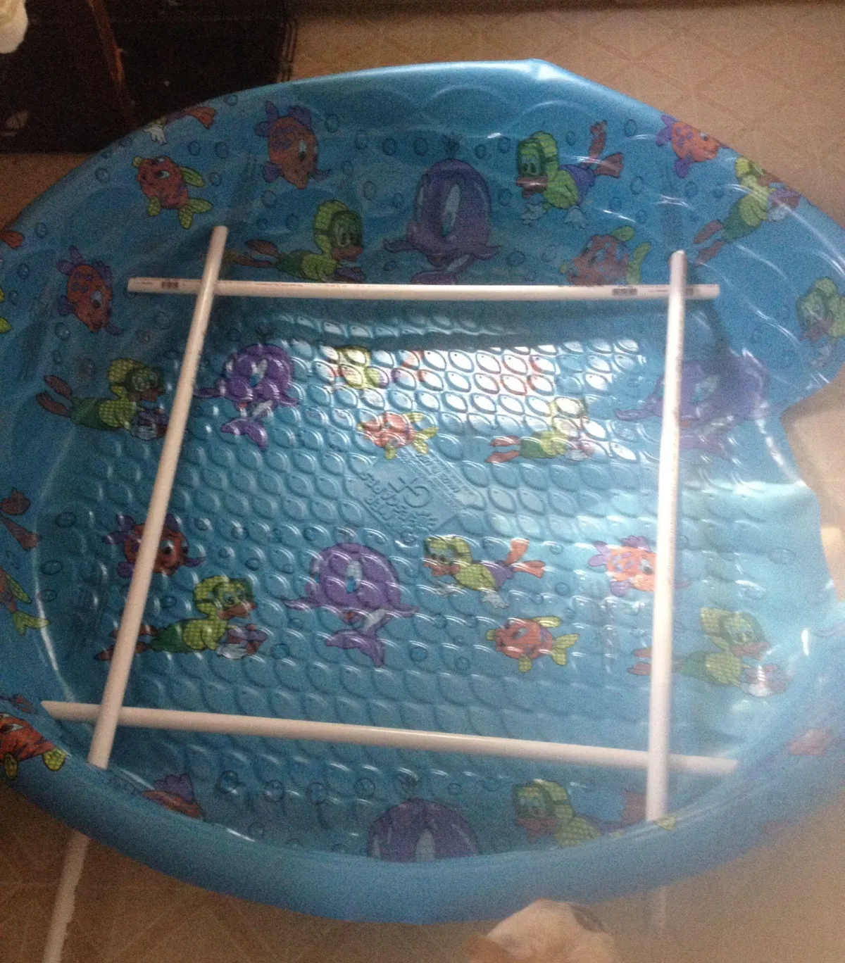 baby pool whelping box