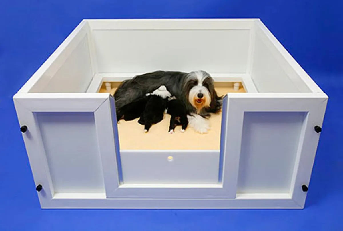 White whelping box with dog