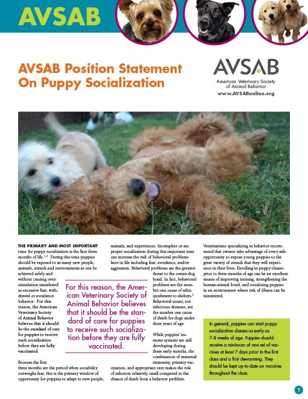 AVSAB Position Statement On Puppy Socialization