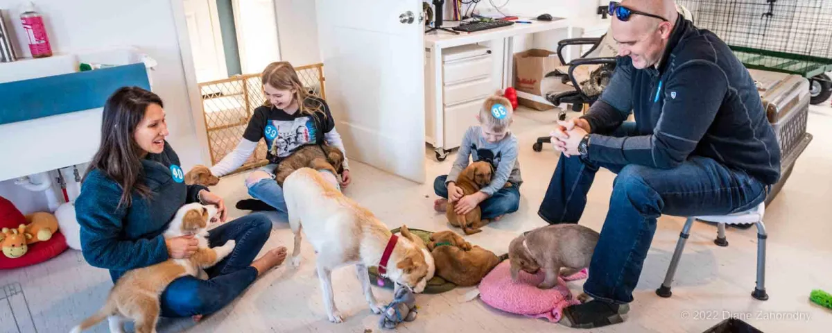 Family of four with puppies