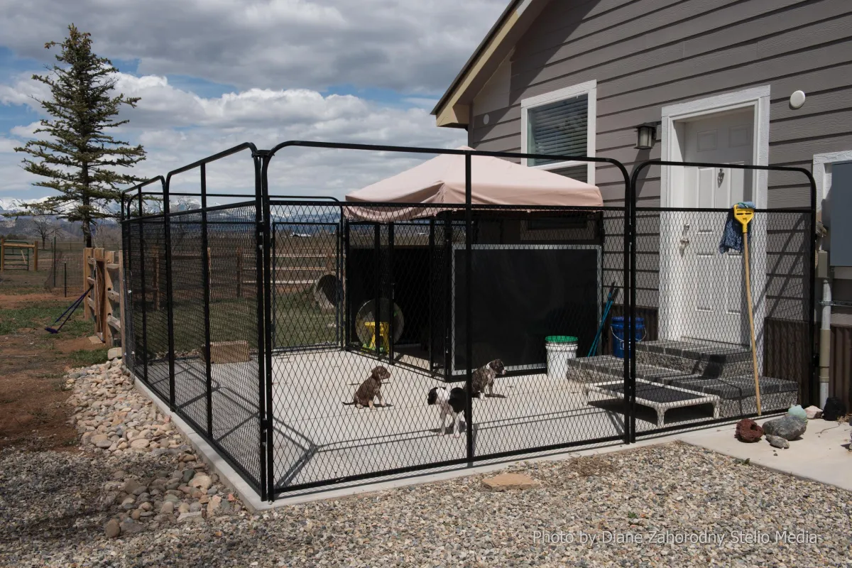 Outdoor puppy enclosure