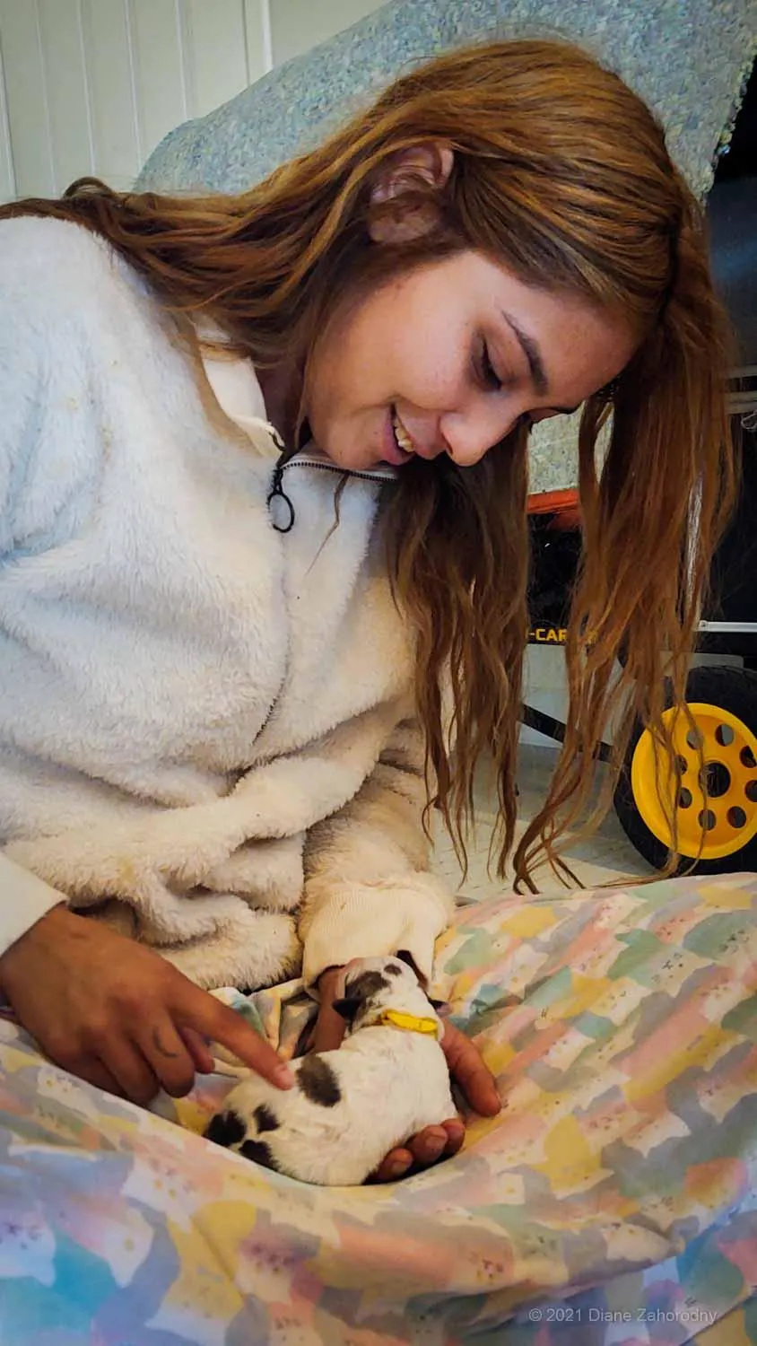 Girl looking down at young puppy