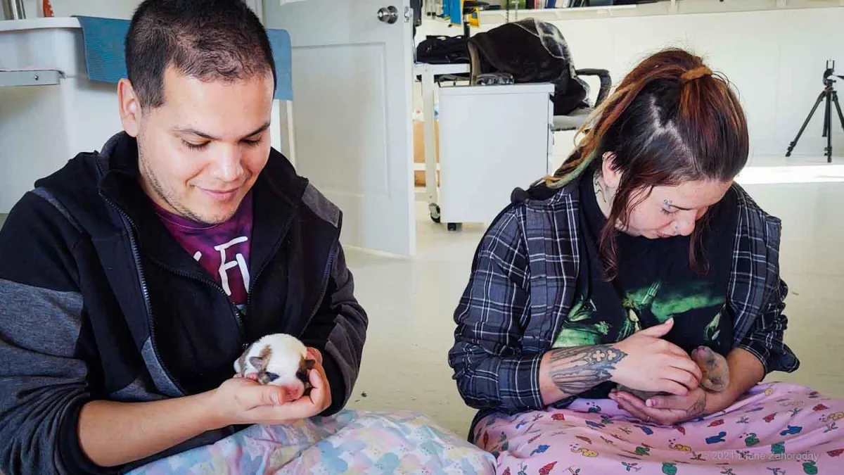 Two people holding newborn puppies
