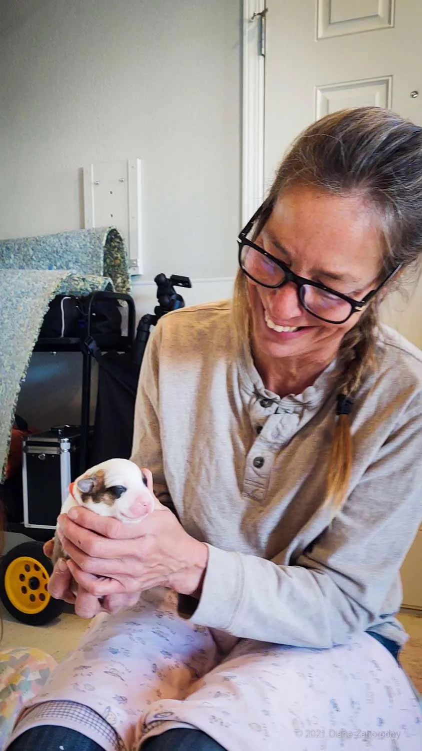 Woman with glasses smiling at puppy