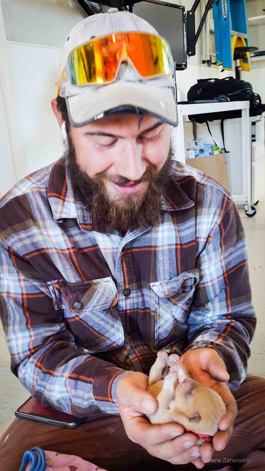 Man with beard holding little puppy