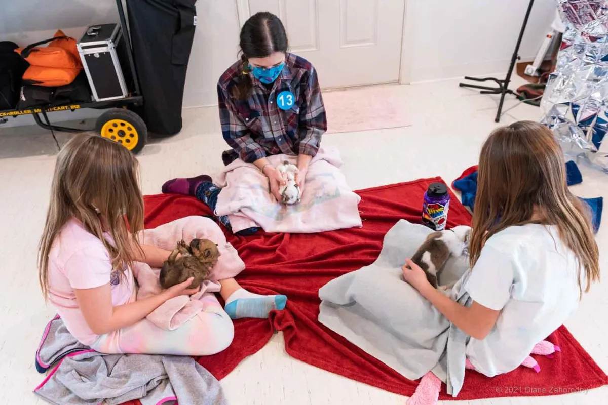 Three ladies holding puppies on floor
