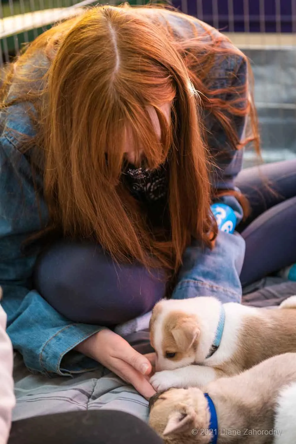 Woman with red hair petting puppy