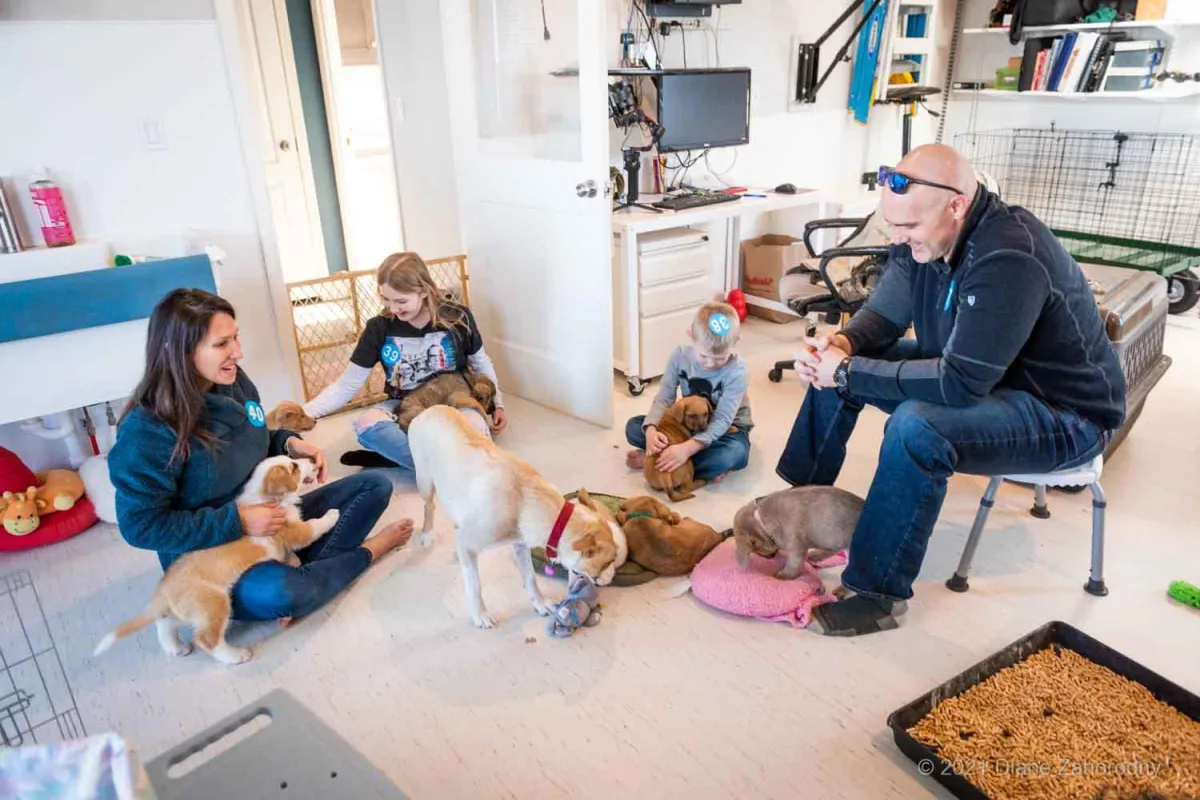 Family of four people with puppies