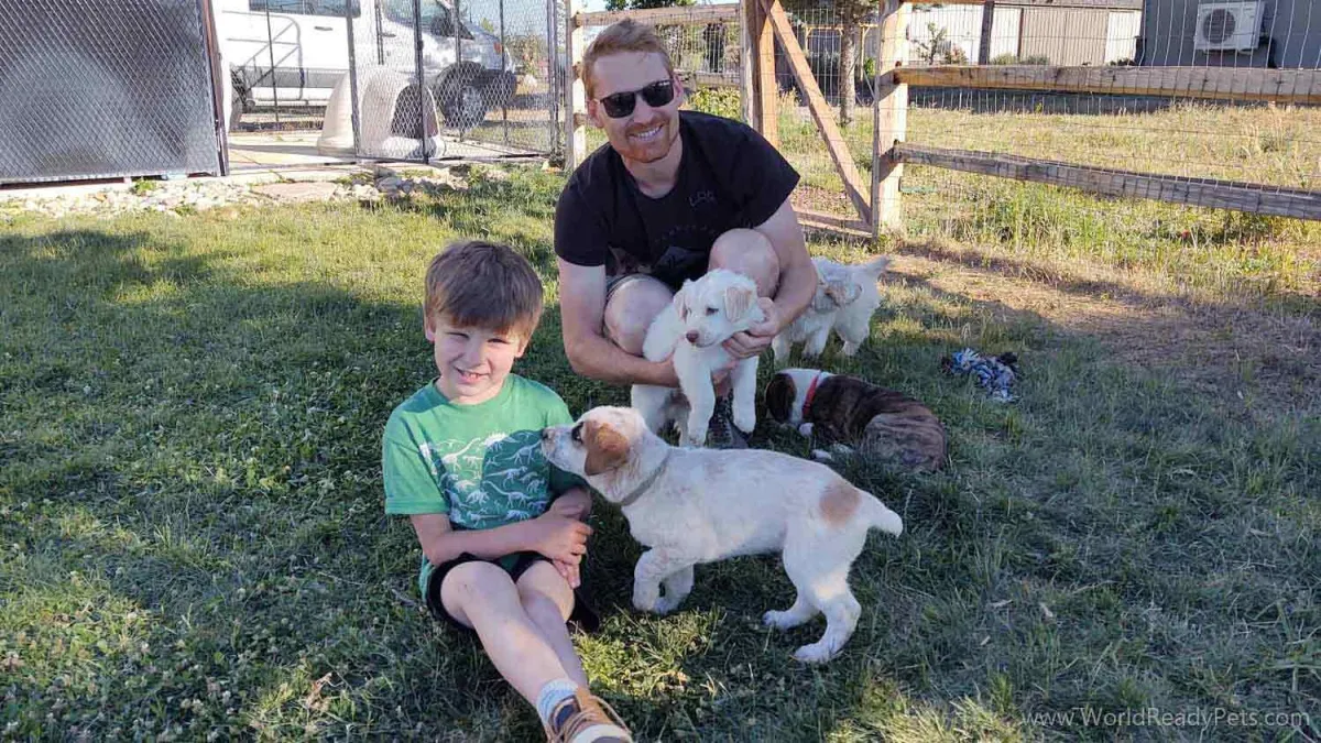 Father and son with puppies