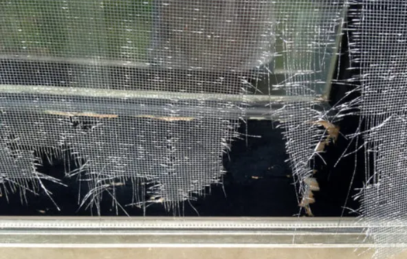 Screen & Frame Cleaning Service