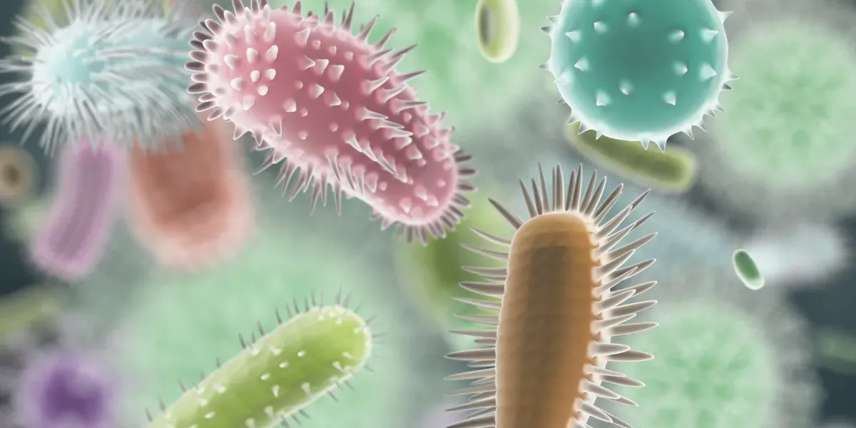 Meet the Microbes That Shape Your Health