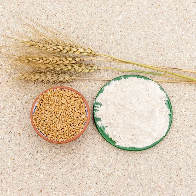 Gluten and Dairy Free Diet