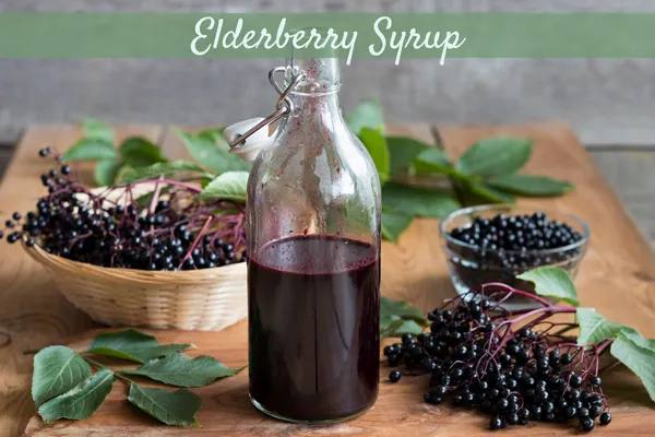 Elderberry Syrup