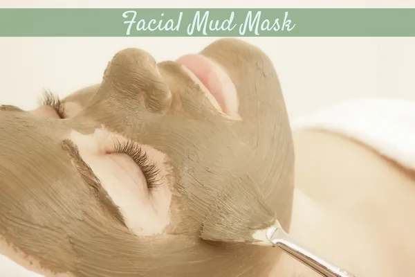 Facial Mud Mask Cleanser
