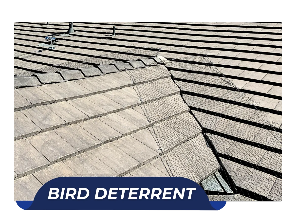 Roof-mounted bird deterrent system installed by Arizona’s Finest Roofing — protecting tile roofs from nesting damage and debris.