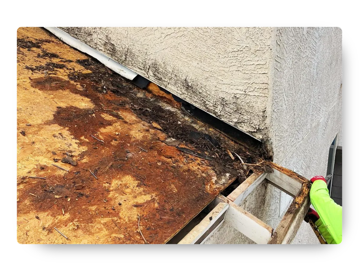Rotted plywood roof deck and damaged flashing along an exterior wall requiring urgent roof repair Florence AZ.