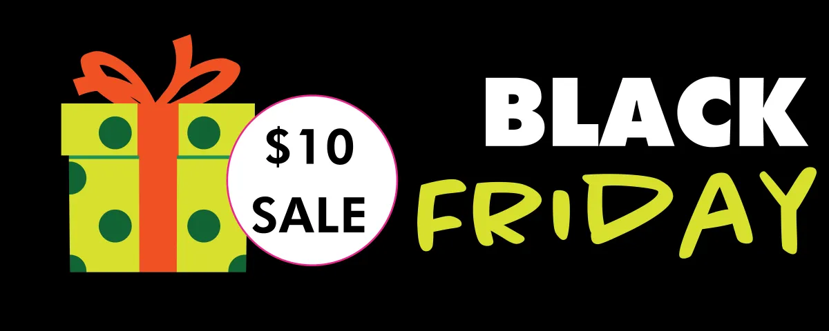 $10 Black Friday sale