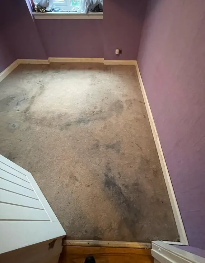 Hard / Tile Flooring Cleaning in Glasgow