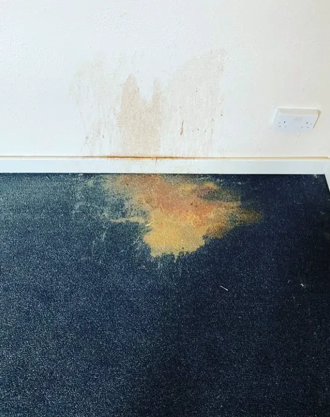Stain and Odour Removal in Glasgow