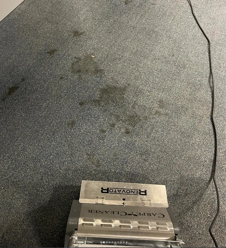 Stain and Odour Removal in Lanarkshire (North and South)