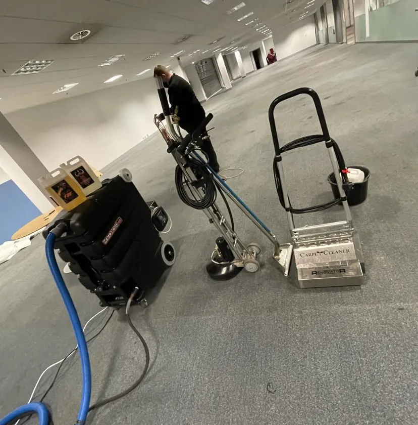 Stain and Odour Removal in Dumbarton