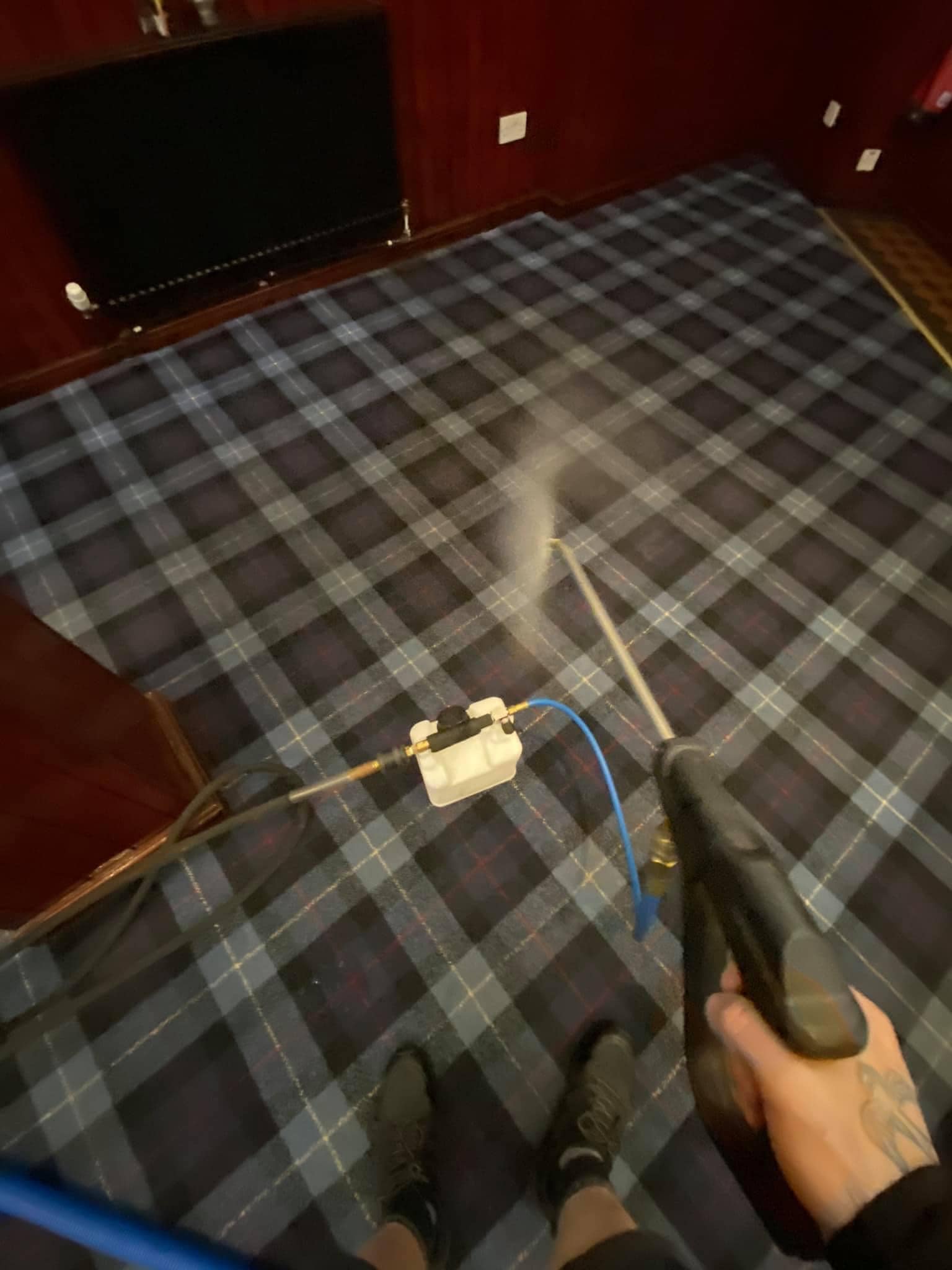 Pet Stain and Odour Removal in Lanarkshire (North and South)