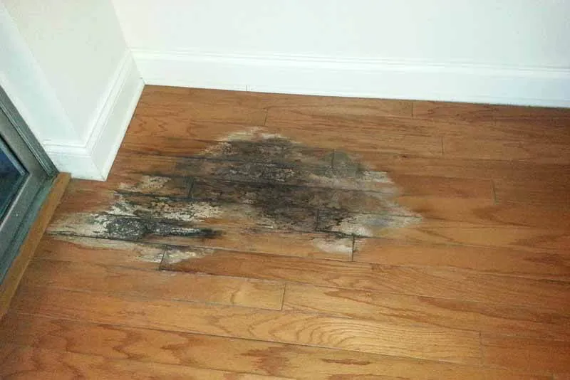 Restore Water Damaged Floors
